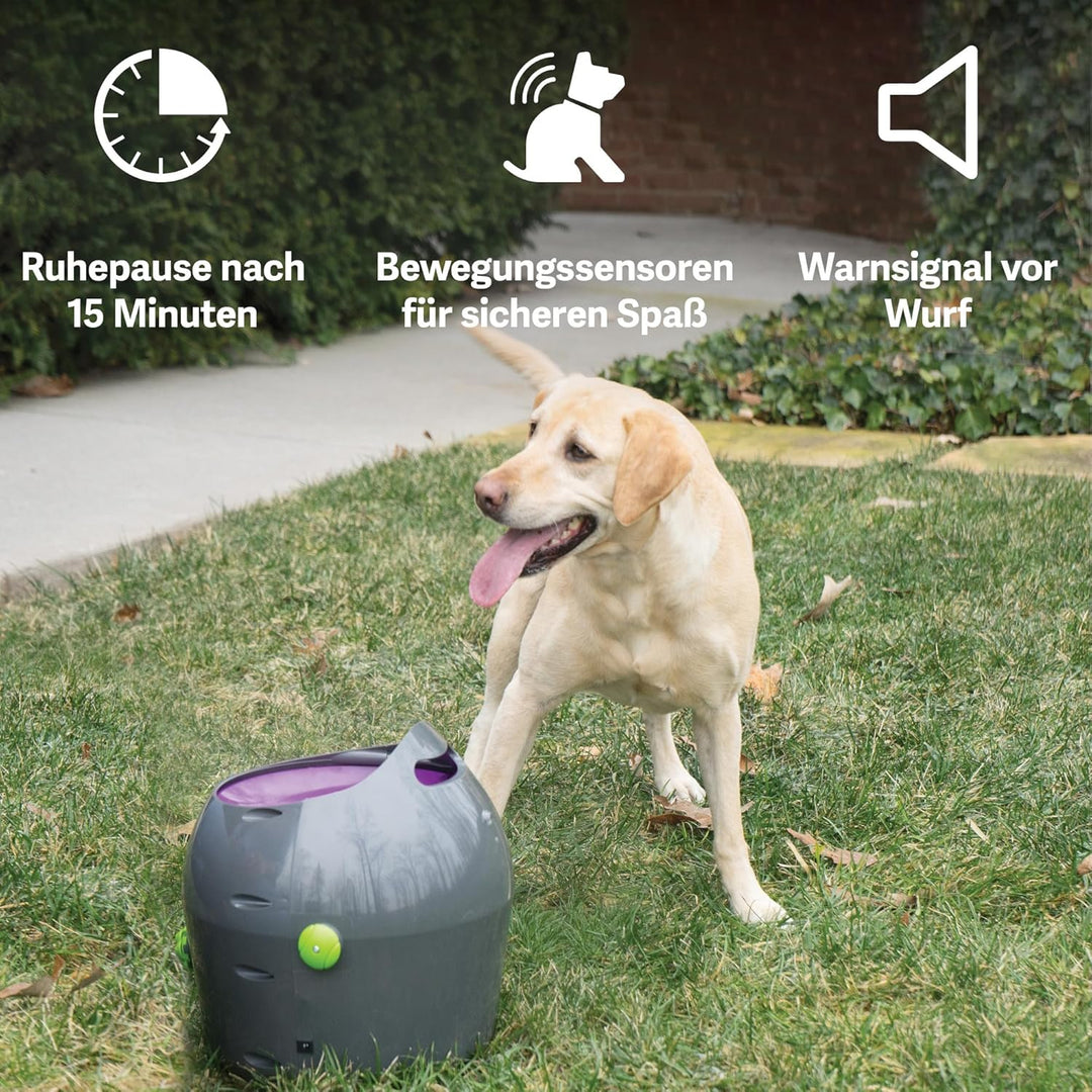 PetSafe Automatisches Hundespielzeug, interaktiver Tennisballwerfer für Hunde, wasserdicht, 1 Stück