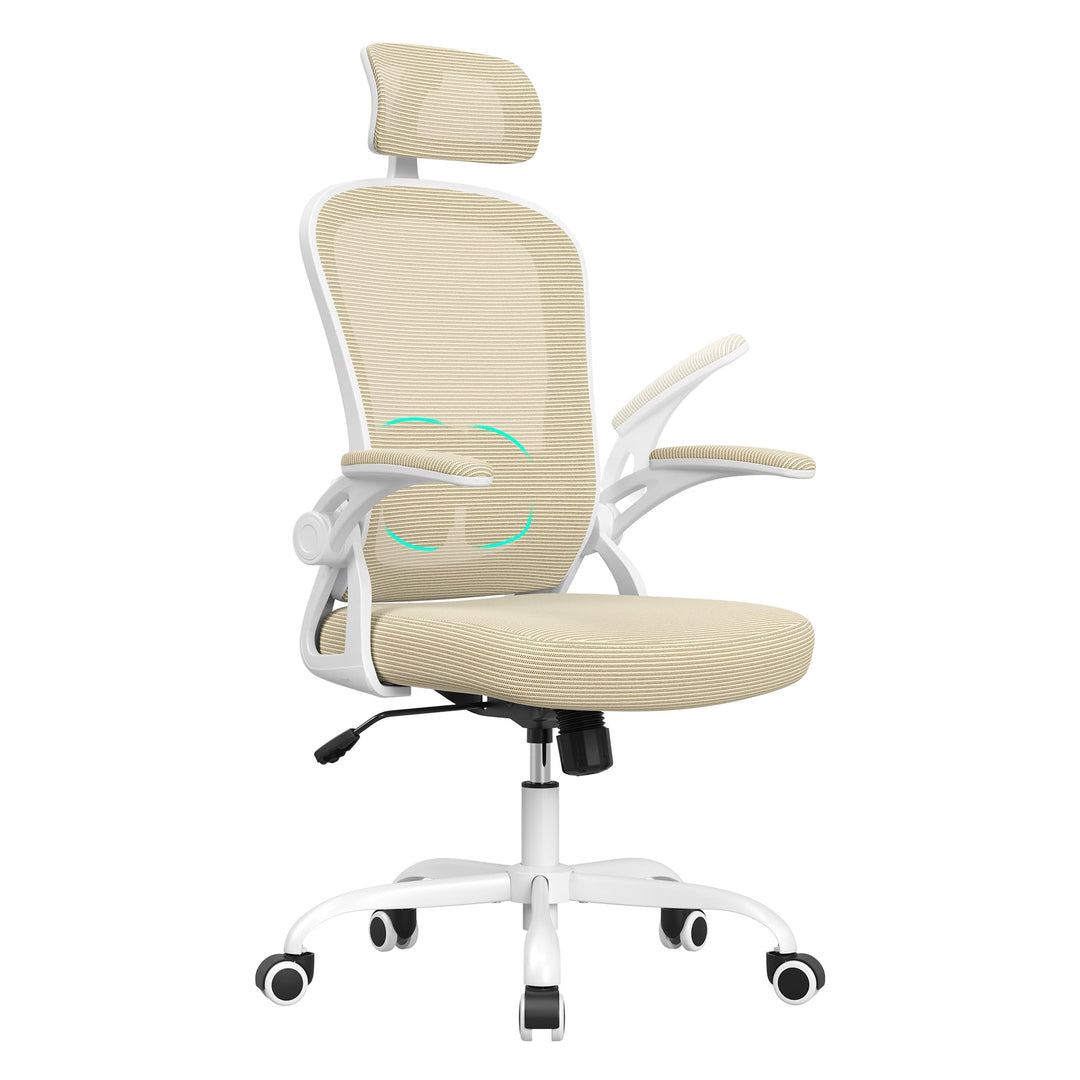 Farini Höhenverstellbar Schreibtischstuhl mit Armlehne, Ergonomischer Stuhl Bequemer Bürostuhl mit R