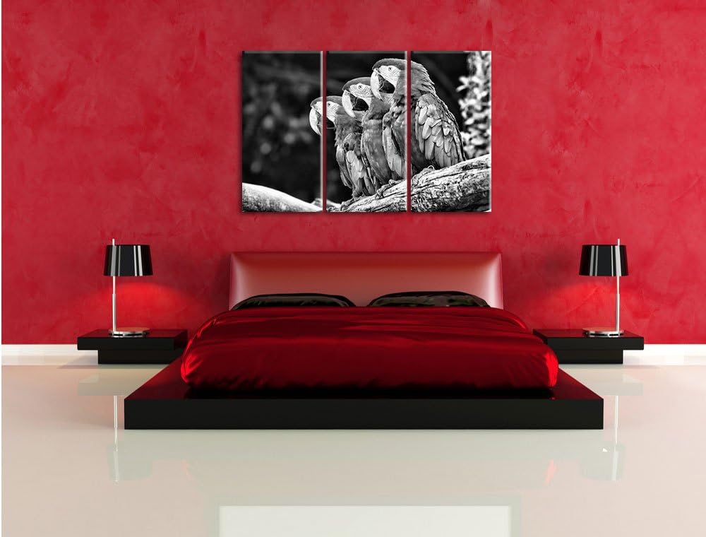 Papageien auf AST als Leinwandbild/Grösse: 3 Teilig (120x80) cm/Wandbild/Kunstdruck/fertig bespannt