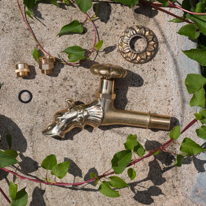 Antikas Wasserhahn | Wasserspeier aus Messing für Brunnen | Drachenkopf Design