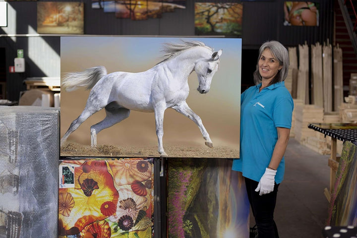Startonight Bilder Arabisches Pferd, Leinwandbilder Moderne Kunst, Tiere Wanddeko Kunstdrucke, Wandb