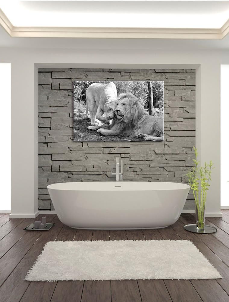 Pixxprint verliebtes Löwenpaar Kunst B&W als Leinwandbild/Grösse: 100x70 / Wandbild/Kunstdruck/ferti
