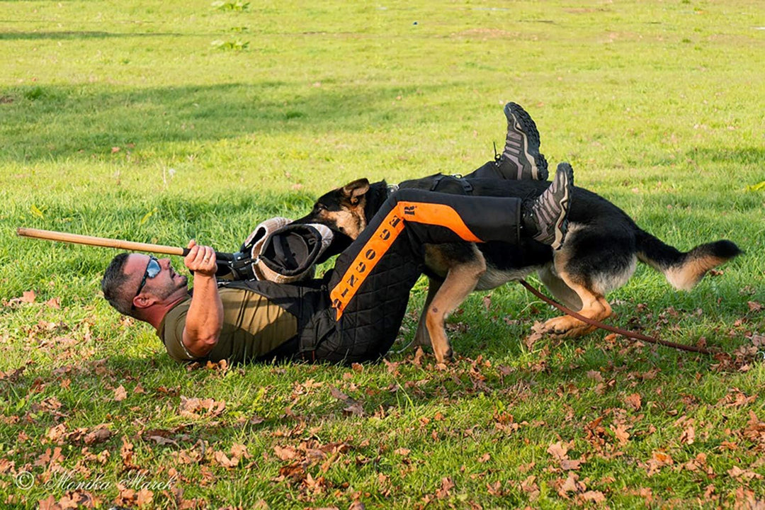Dingo Gear Trainingsanzug für IGP Sports Agitation Köder M Lichtschutz Orange, M Lichtschutz Orange