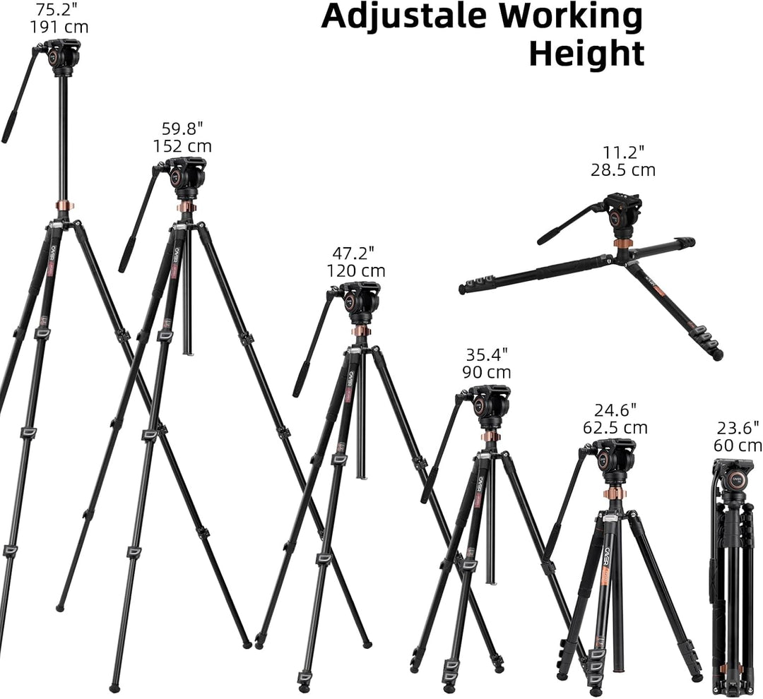Cayer FP2450 Fluid Head Tripod, 75 Zoll Aluminium Video Stativ, 4-Sektion Kompaktes Kamerastativ umw