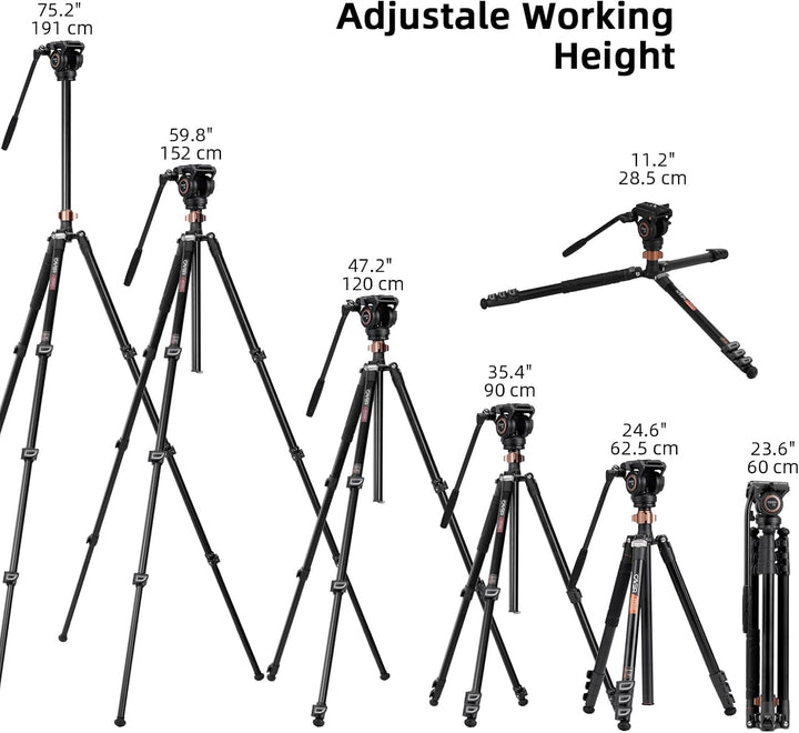 Cayer FP2450 Fluid Head Tripod, 75 Zoll Aluminium Video Stativ, 4-Sektion Kompaktes Kamerastativ umw
