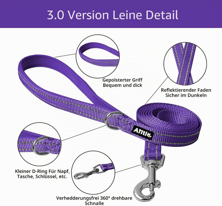 AIITLE Bequemes Hundegeschirr und Leine Set zum Gassi gehen - Step in Vest Harness, Reflektierende B