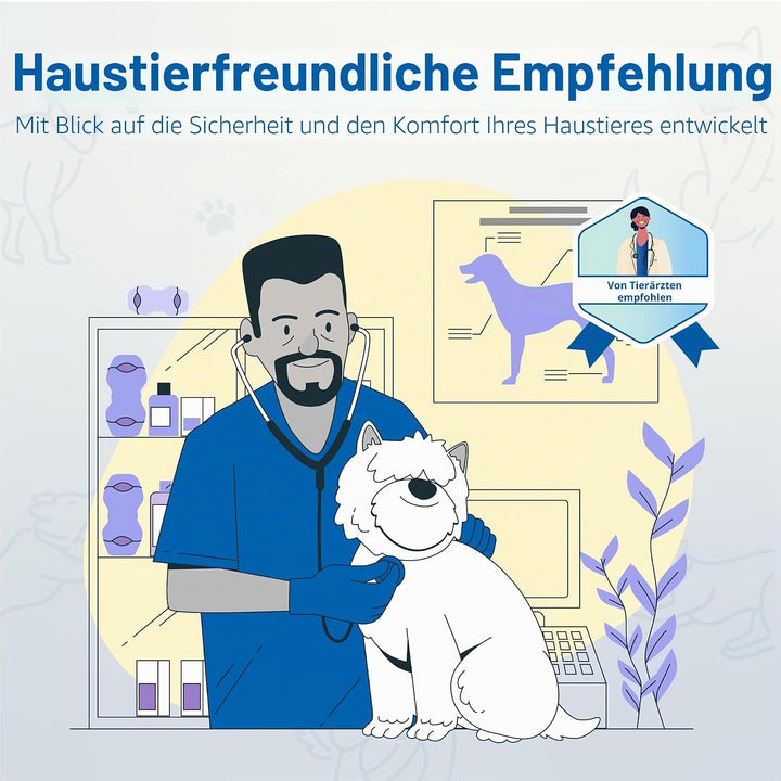 PetClan Chewise Bully Stick Halter – Sicherheit & Robustes Design, BPA-frei, Sicherer Ochsenziemer-H