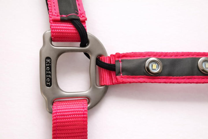 Reinecke Equestrian Premium Leuchthalfter Reflexhalfter Sicherheitshalfter Stallhalfter Weidehalfter
