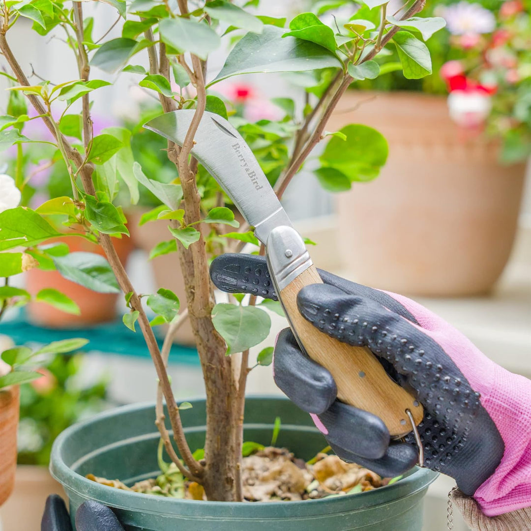 Berry&Bird Hawkbill Pruner Knife, klappbares Taschenmesser, Veredelungsmesser mit Edelstahlklinge, G
