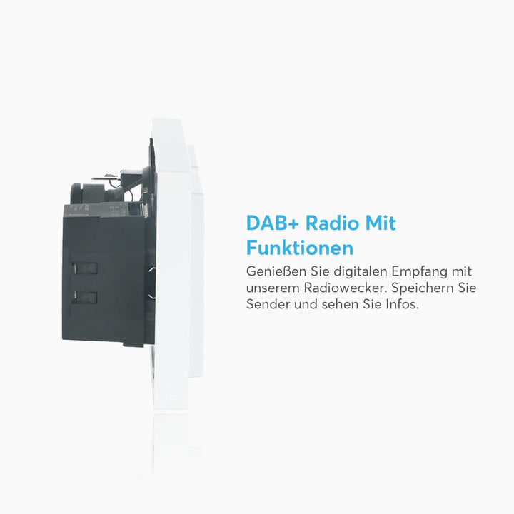 Busch-Jaeger Radio 2CKA008200A0233