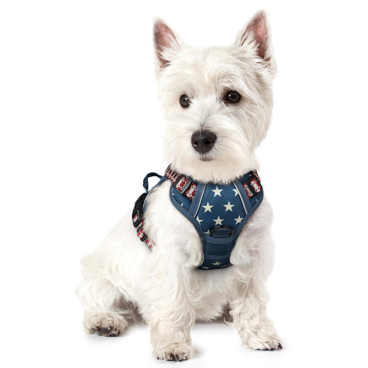 rabbitgoo Hundegeschirr Mittelgrosse Hunde, Anti Zug Geschirr mit Kontrolle, No Pull Verstellbar Hun