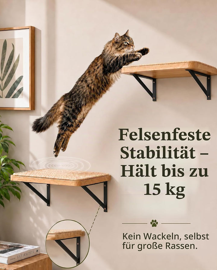 Katzen Kletterwand, Katzenwandmöbel mit Kratzmatte, Wandmontiertes Massivholz Schlafplattform für Kl