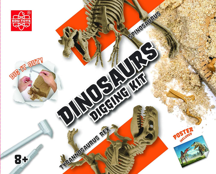 Grosses 2in1 Dinosaurier Ausgrabungsset mit Werkzeug Spinosaurus und Tyrannosaurus Rex in schwerem S
