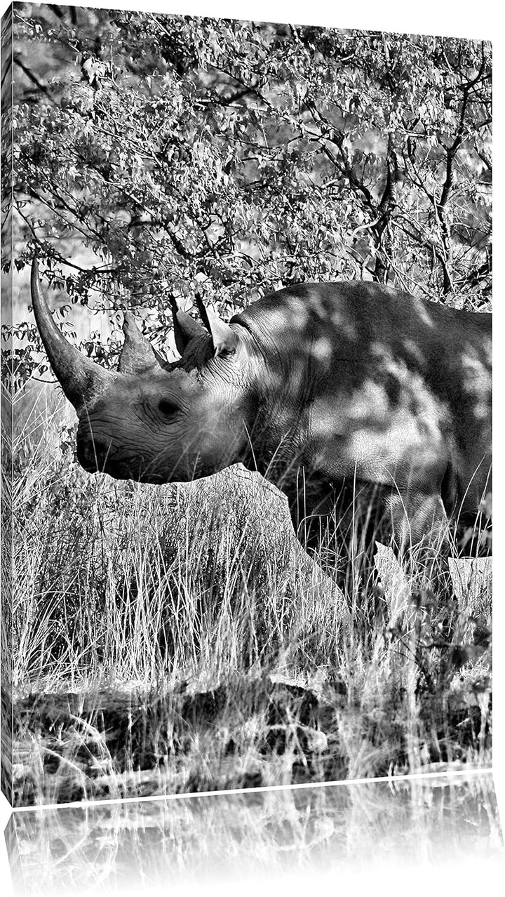Pixxprint Nashorn in der Savanne als Leinwandbild/Grösse: 100x70 / Wandbild/Kunstdruck/fertig bespan