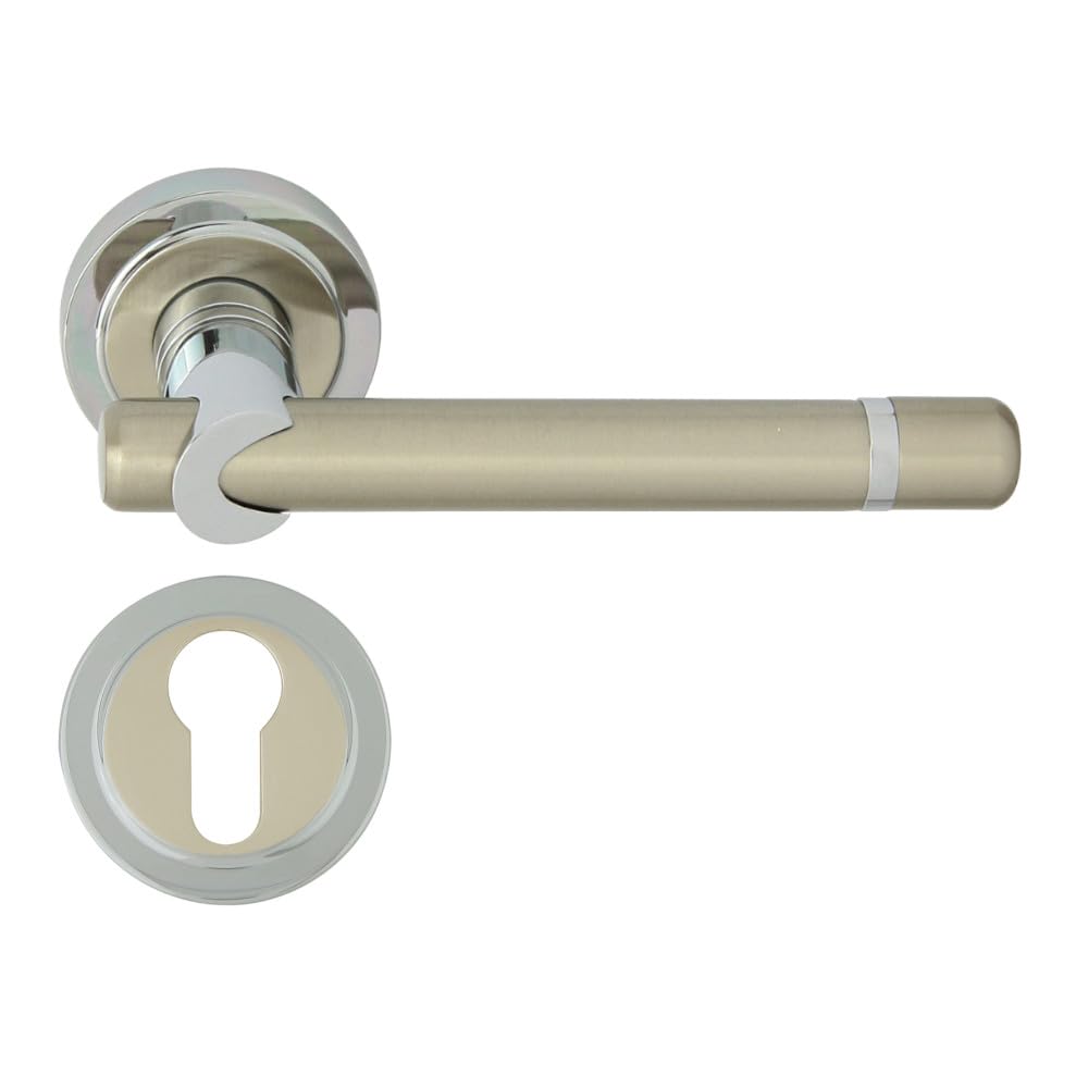domino Türgriff DELPHI-R M6/M9 PZ-Profilzylinder Drückergarnitur für Zimmertüren Türdrücker-Set Rose