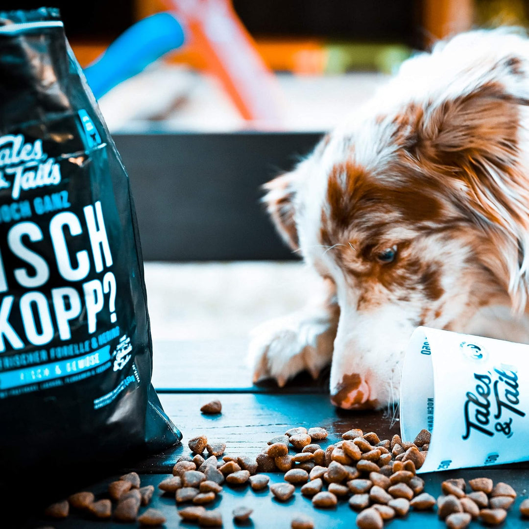 Tales &amp; Tails Fisch Im Kopp Halbfeuchtes Trockenfutter für Hunde | Getreidefrei | Mit 60% Fisch Als