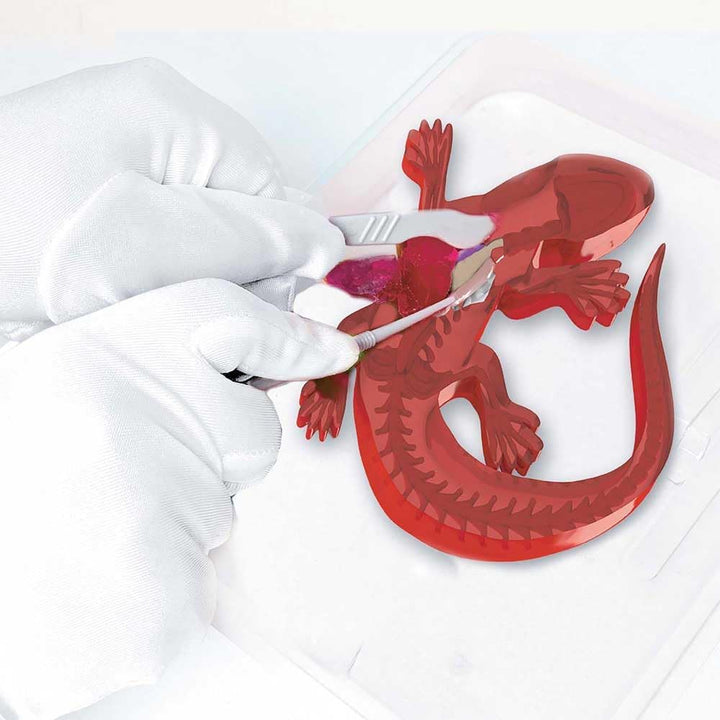 Original SLIMY Lab Dissect-IT Salamander - Experimentieren & Forschen Sezier-Set - Schleim Labor, pr