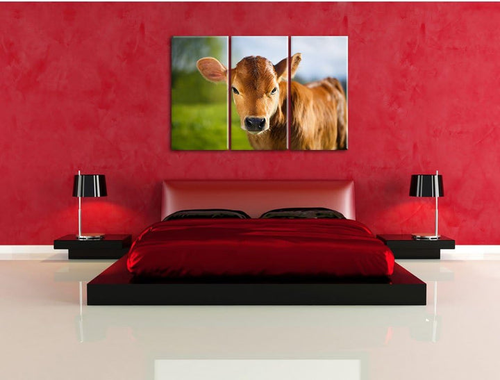 Pixxprint Junge Kuh Kälbchen als Leinwandbild - Grösse: 3-Teilig (120x80cm) - Wandbild - Kunstdruck