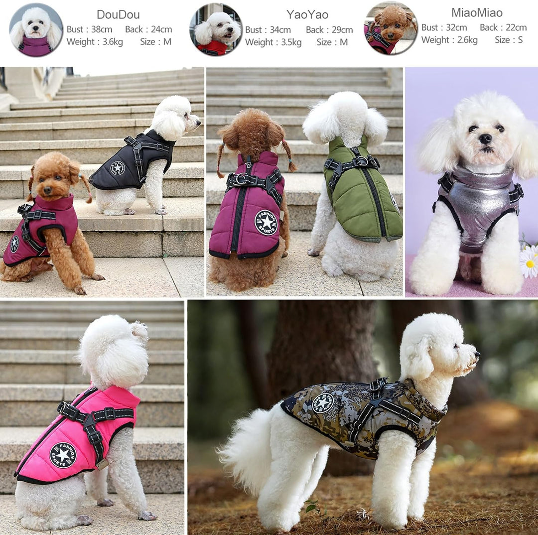 Oncpcare Kleine Hundejacke mit Geschirr, Outdoor Hundesport Weste, Outdoor Warm Haustier Wintermante