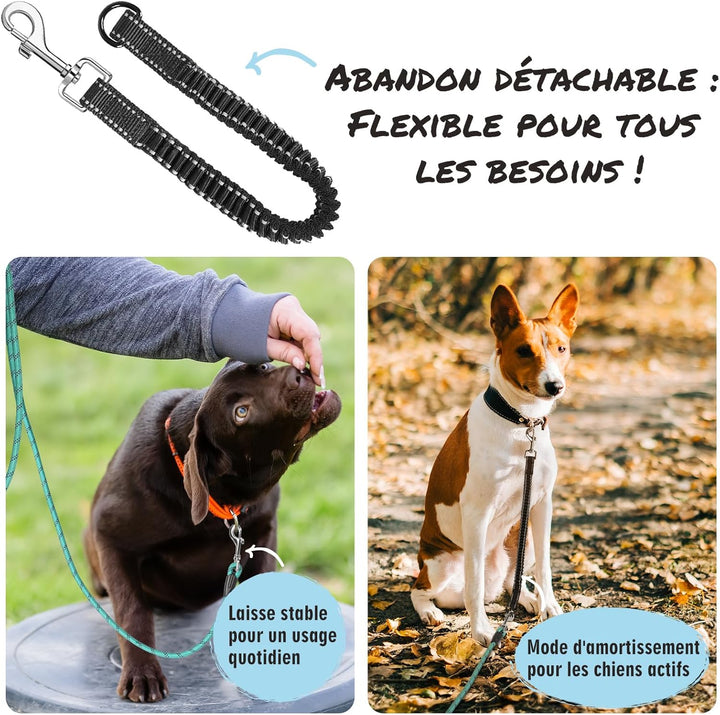 Aystkniet Bungee Schleppleine für Hunde 3M 5M 9M 10M 15M 20M 30M, Schockabsorbierende Hundeleine mit