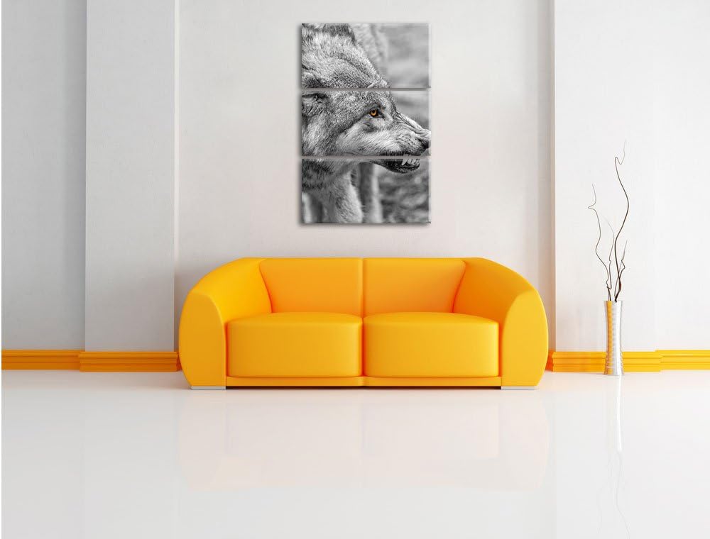 Pixxprint knurrender Wolf als Leinwandbild/Grösse: 3 Teilig (120x80) / Wandbild/Kunstdruck/fertig be