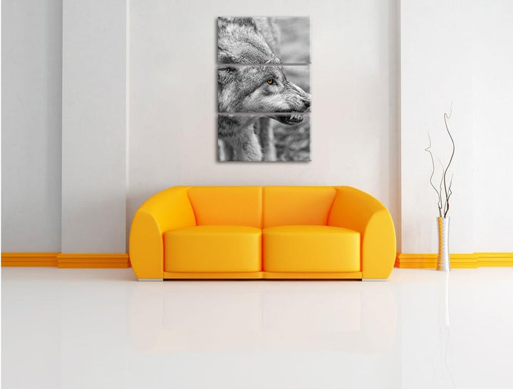 Pixxprint knurrender Wolf als Leinwandbild/Grösse: 3 Teilig (120x80) / Wandbild/Kunstdruck/fertig be