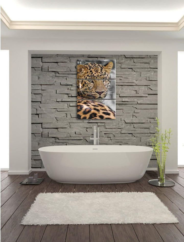 Pixxprint aufmerksamer Leopard im Schatten als Leinwandbild/Grösse: 3 Teilig (120x80) cm/Wandbild/Ku