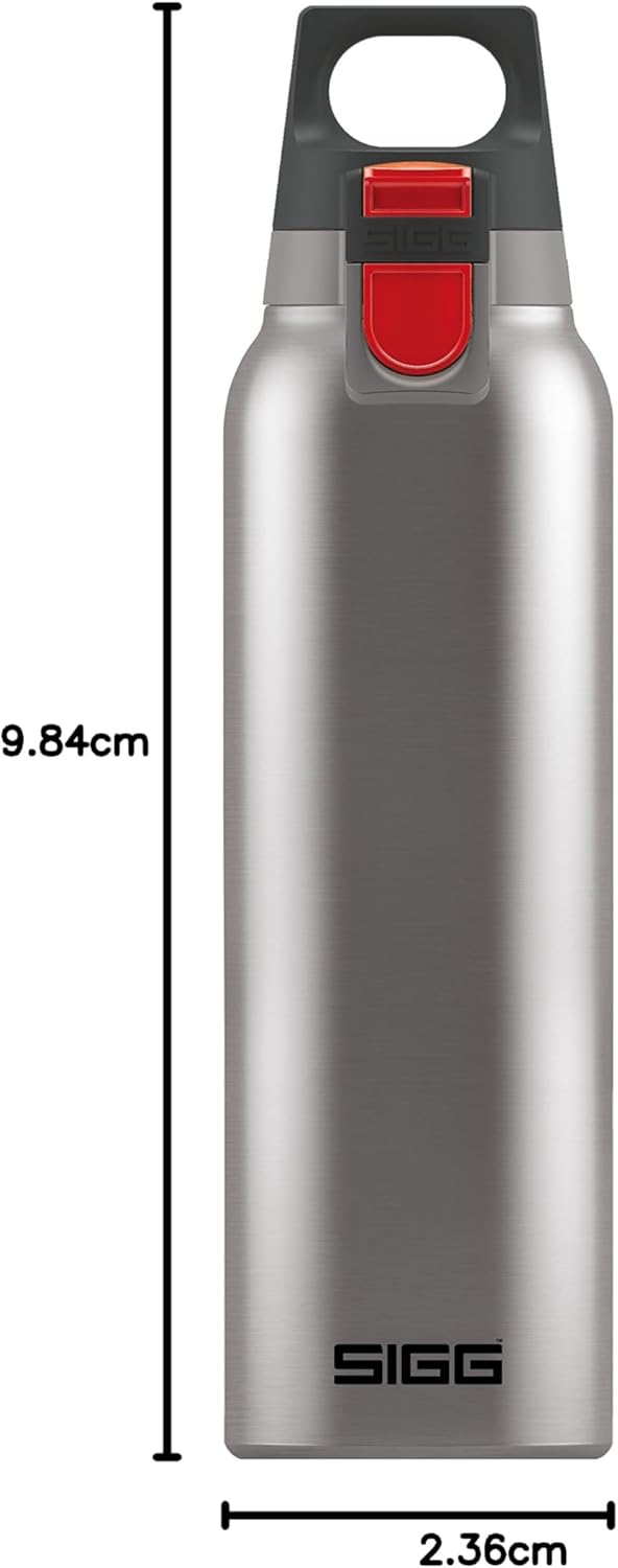 SIGG - Isolierte Trinkflasche - Thermosflasche Hot &amp; Cold One - Mit Teesieb - Auslaufsicher - BPA-fr