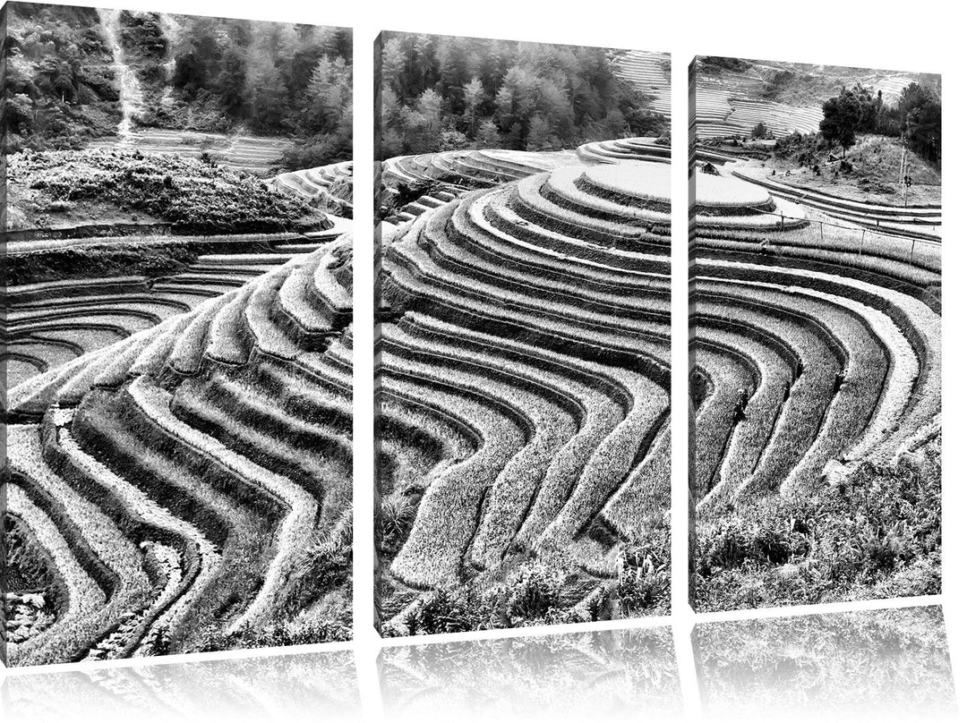 Pixxprint Monocrome, Chinesische Reisplantagen Treppenfelder 3-Teiler Leinwandbild 120x80 Bild auf L