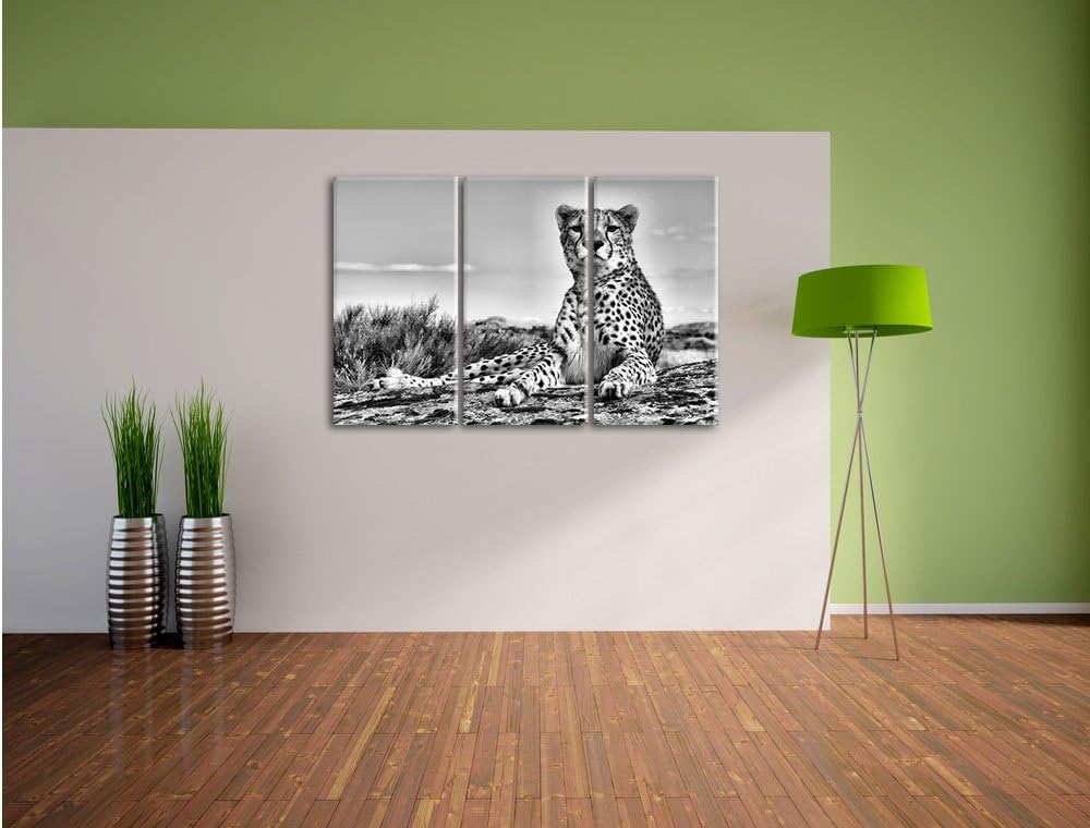 Pixxprint Monocrome, Gepard in Savanne 3-Teiler Leinwandbild 120x80 Bild auf Leinwand