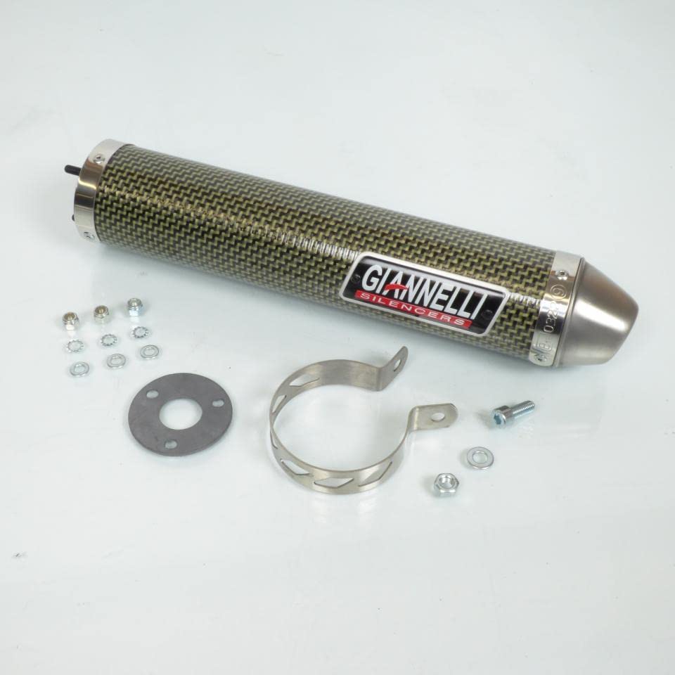 Auspuffschalldämpfer Giannelli für Motorrad Aprilia 125 RS Extrema 1995 bis 1998