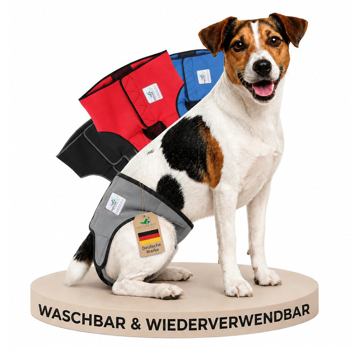Läufigkeitshose für Hündinnen 2.0 - Hundewindeln aus hochwertigem perforiertem Neopren für einen opt