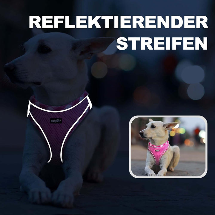 haapaw Hundegeschirr und Leine Set, kein Ziehen, verstellbares, reflektierendes Step-in-Welpengeschi