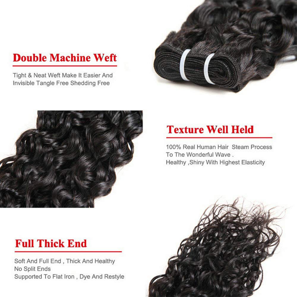 Ladiary Hair Brazilian Hair Bundle Water Wave Human Hair 3 Bundles 12 14 16 Zoll Curly Hair Weave 10