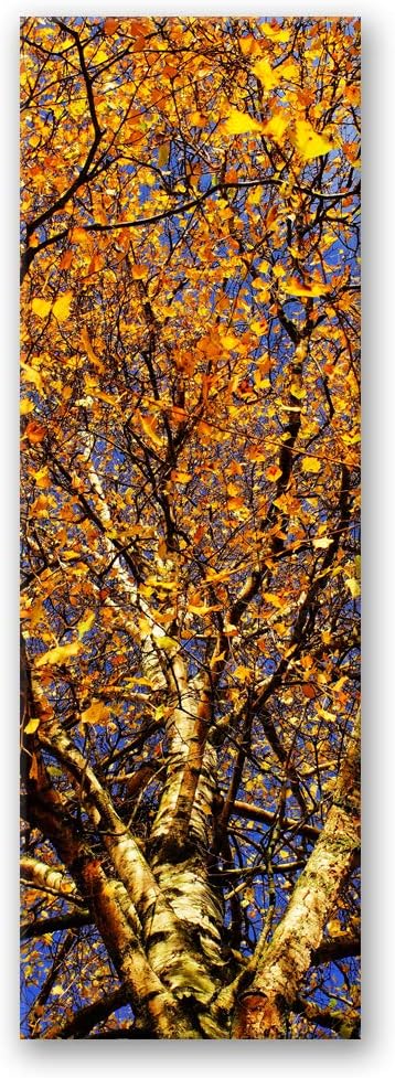 Feeby Leinwand Bilder - Natur - Wald - 40x120 cm- Deko Wohnzimmer - Wandbilder Schlafzimmer - Deko A