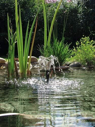 Pontec 56465 Wasserspielpumpe PondoVario 750, Wasserspiel, Teichpumpe, Fontänenpumpe, Gartenteich, Z