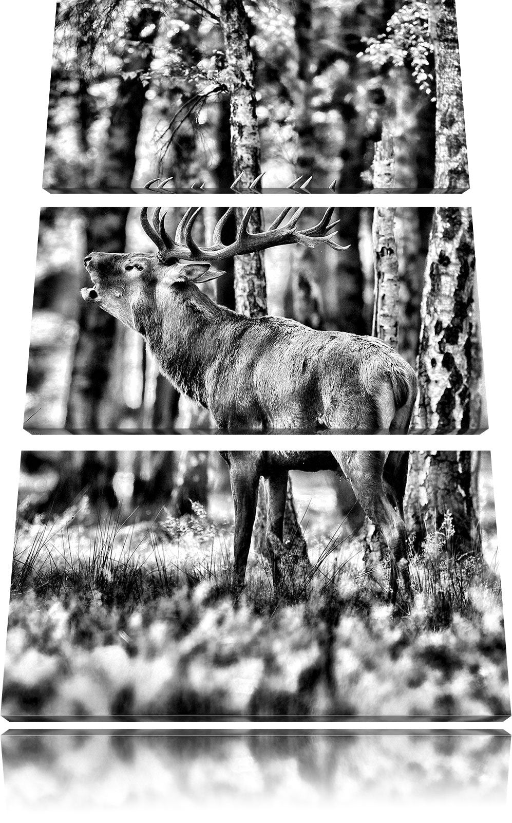 Pixxprint Hirsch im Wald als Leinwandbild | Grösse: 3 Teilig (120x80) | Wandbild| Kunstdruck | ferti