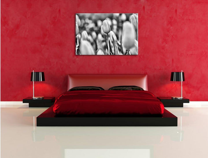 Pixxprint Gelbe Tulpen im Frühling / 100x70cm Leinwandbild bespannt auf Holzrahmen/Wandbild Kunstdru