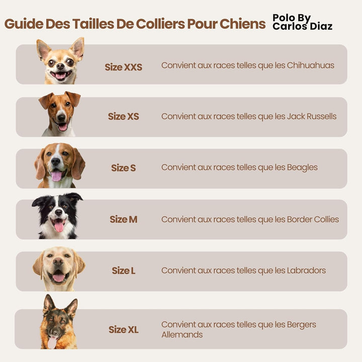 Carlos Diaz Echtes Leder gewachstes Premium-Polo-Hundehalsband mit Stickerei XS XS (28-36cm) Braun,