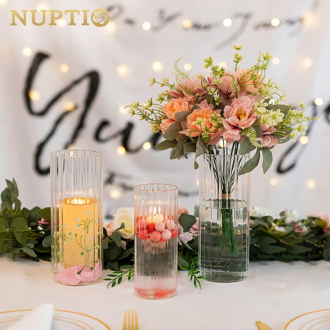 Nuptio Glasvase für Blumen Zylinder: 6 Stück Klare Blumenvasen für Hochzeit Tafelaufsätze Hurrikan-k