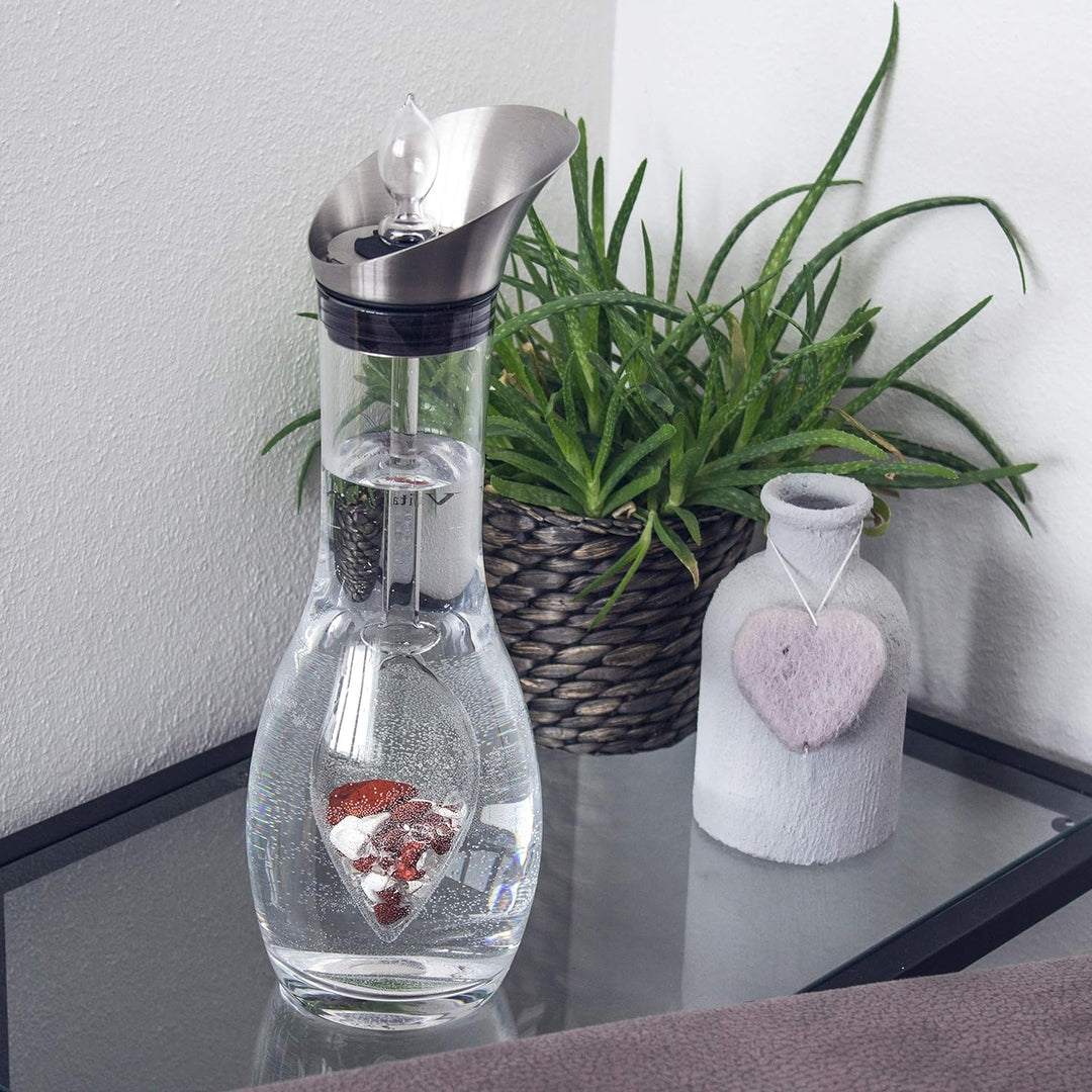 VitaJuwel FITNESS Edelsteinwasserset für Zuhause (Karaffe Era & Phiole) mit Roter Jaspis, Magnesit &