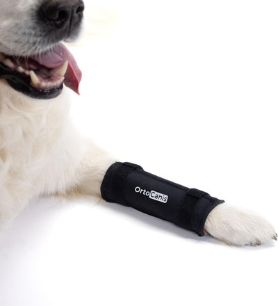 Ortocanis - Karpalbandage für Hunde mit Arthrose, Bandverletzungen, instabilem Karpalgelenk, Grösse
