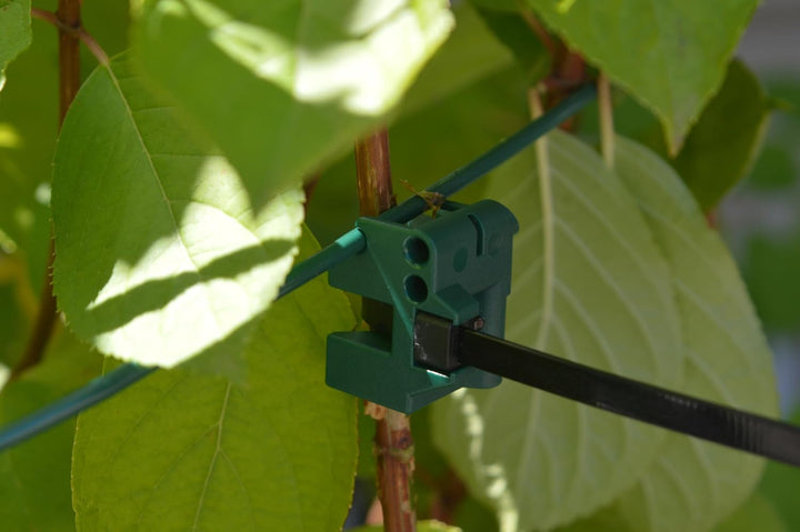 Pflanzenstütze für grosse Stauden wie Hortensien & Pfingstrosen | 3X Staudenhalter M Ø 20–45 cm – Ve
