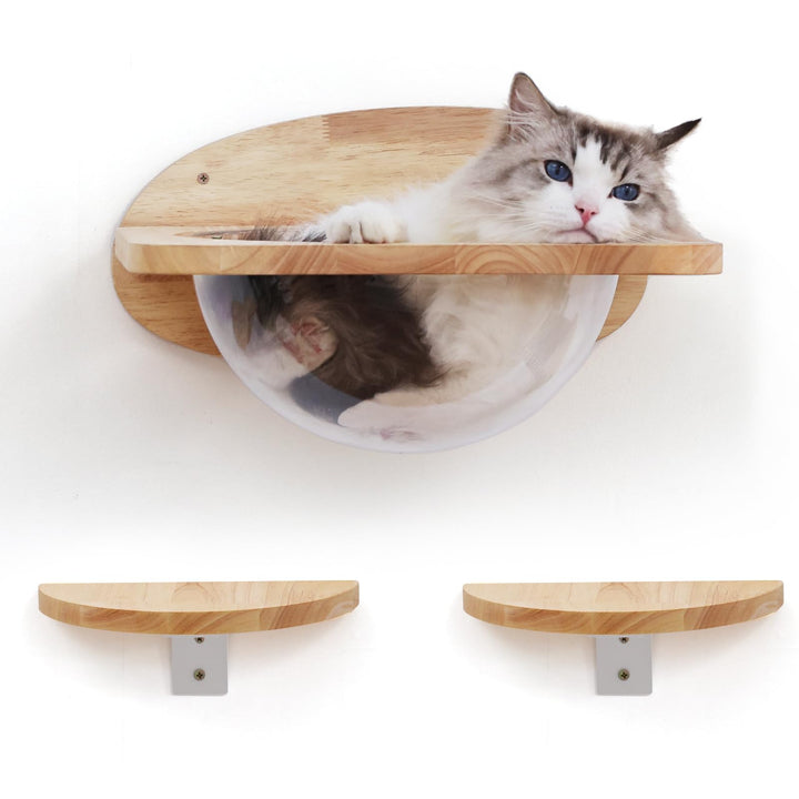 FUKUMARU Kletterwand Katzen, Transparente Raumkapsel mit 2 Pedalen als Katzenwandmöbel Set, aus Mass
