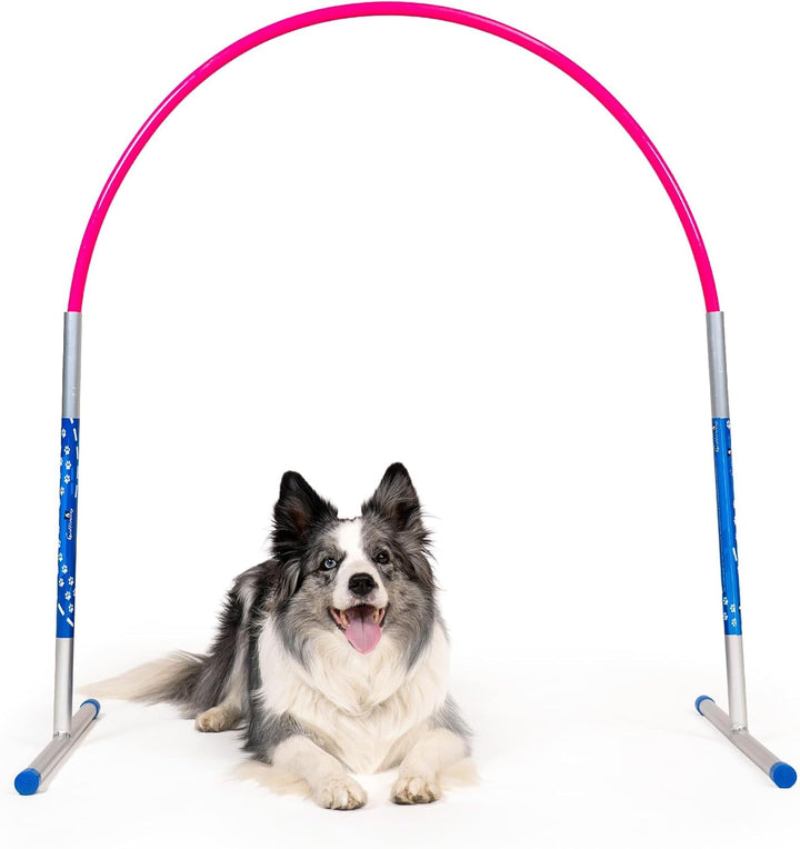 6 x Hoopers Agility Hoops - NADAC Hoopers Agility Hoops (Grosspackung) ALU Hoops (ohne Mittelstrebe)