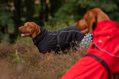 iEnergy™ JUD Hundemantel Hunde Winterjacke windabweisender, ultraleichter und reflektierender Hundem