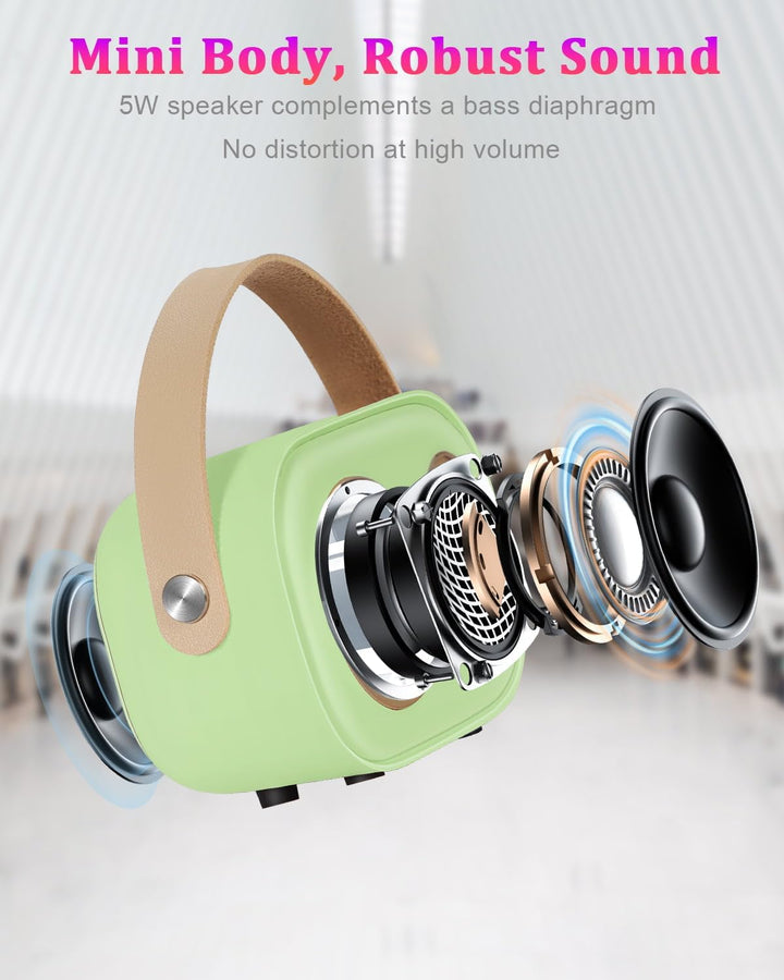 PRUNUS Karaoke Maschine Kinder mit 2 Mikrofonen, Mini Karaoke Set mit Stereosound und Heavy Bass für