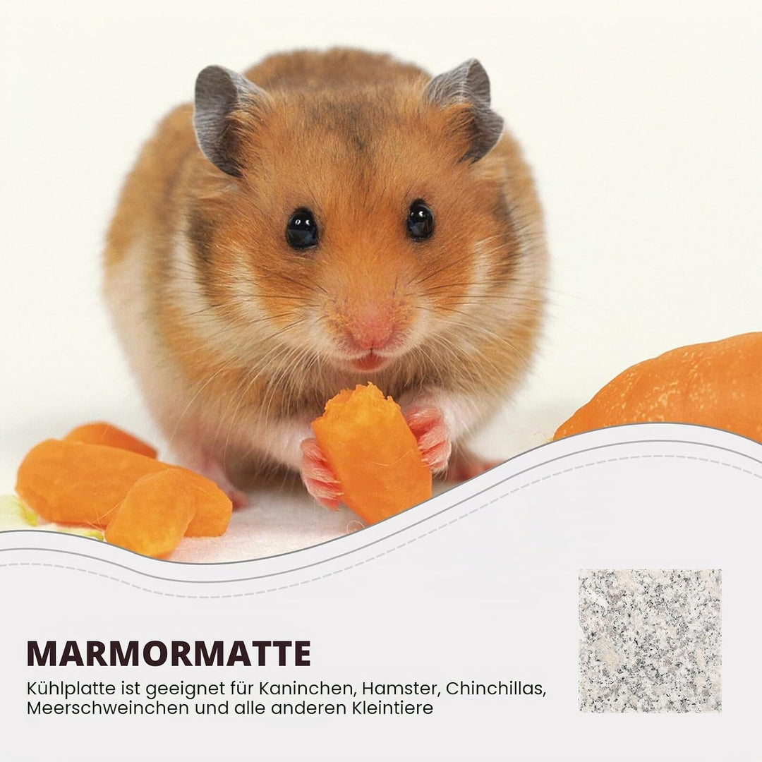 2 Stück Kühlstein Kaninchen aus Granit für Haustiere mit Kühlender Granitplatte Hamster Kühlbett 9x9