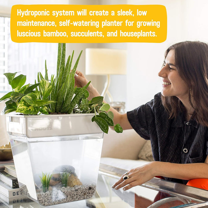 Back to the Roots Hydrokultur-Garten für den Innenbereich, selbstbewässernder, schmutzfreier Übertop