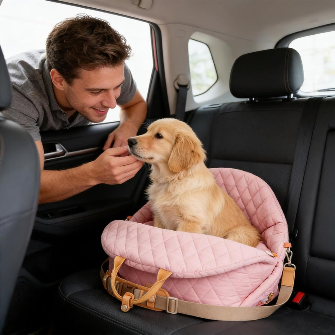 Hunde-Autositz für kleine Hunde, tragbare Haustiersitze für Autos mit Sicherheitsleinen, abnehmbare,